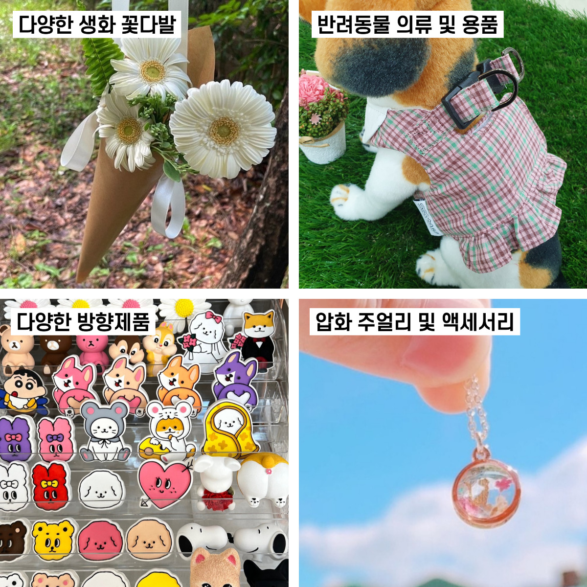 KakaoTalk_20231027_170123250_14.jpg